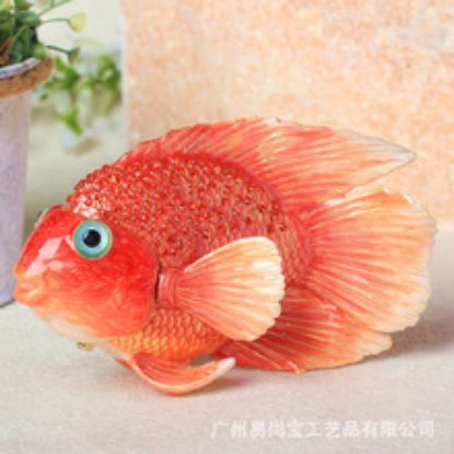 Picture of Decorate parrotfish